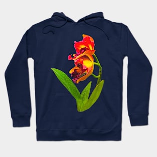 Orchids - Frilly Red and Yellow Orchids Hoodie